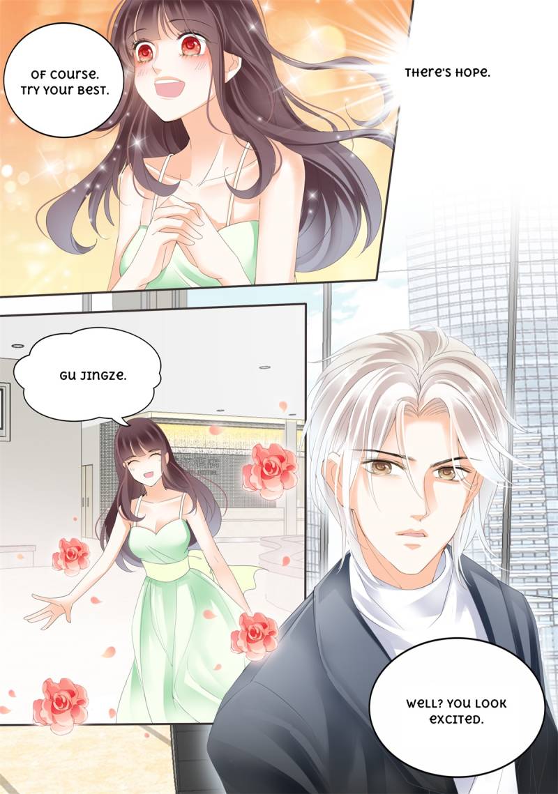 The Beautiful Wife of the Whirlwind Marriage Chapter 8 8